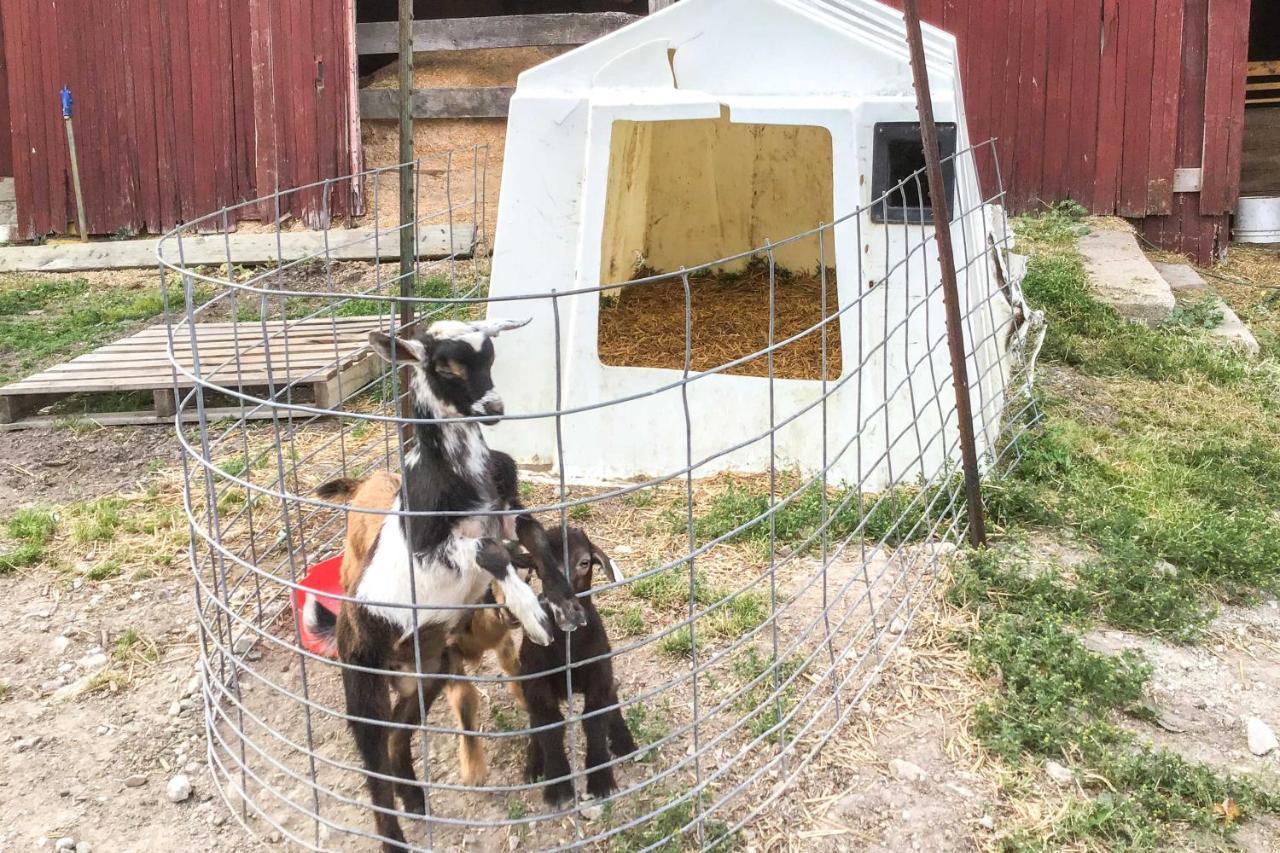 Cozy Goshen Studio Unique Farm Stay! エクステリア 写真