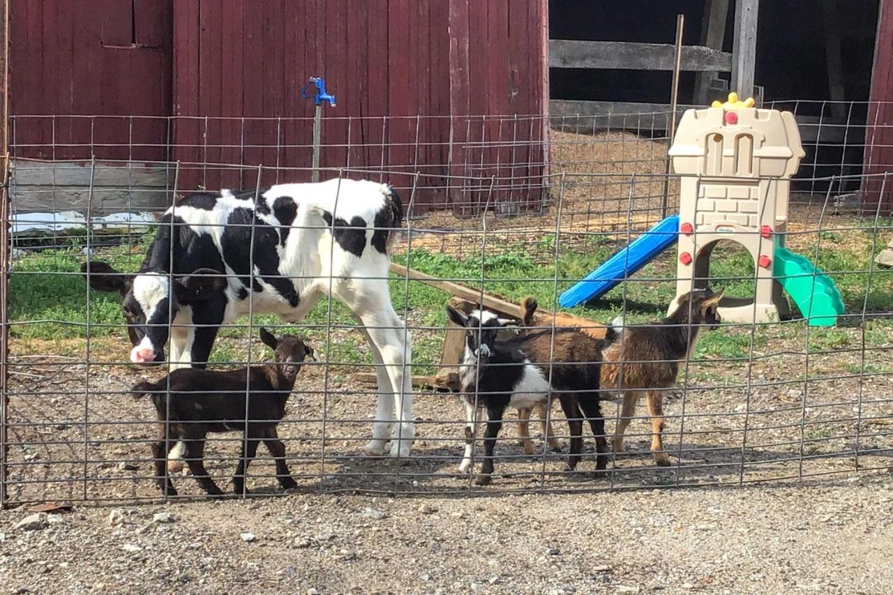 Cozy Goshen Studio Unique Farm Stay! エクステリア 写真